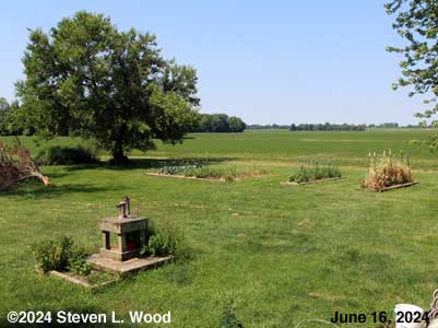 Our Senior Garden - June 16, 2024