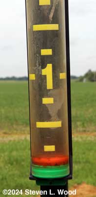 A little bit of rain