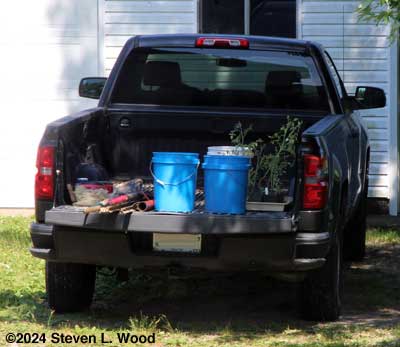 Tomato planting supplies on truck