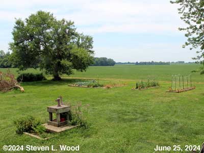Our Senior Garden - June 25, 2024