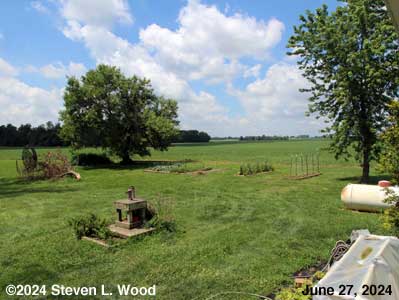 Our Senior Garden - June 27, 2024