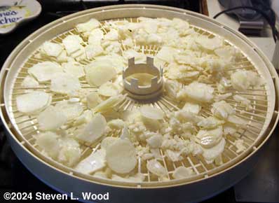 Chopped cloves spread on dehydrator trays