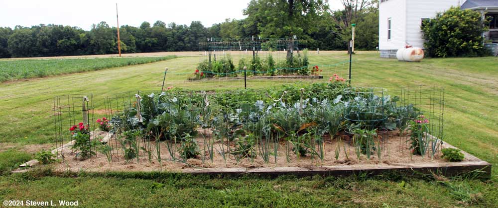 Main raised bed