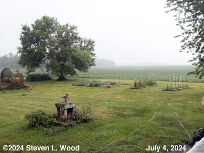 Our Senior Garden - July 4, 2024