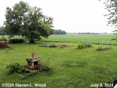 Our Senior Garden - July 9, 2024