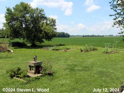 Our Senior Garden - July 12, 2024