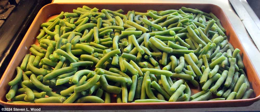 Freezing green beans