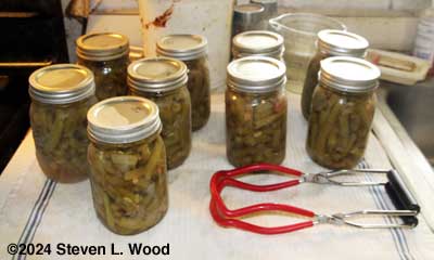 Canned green beans