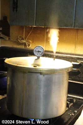 Pressure canner venting live steam