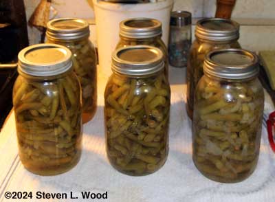 Canned green beans