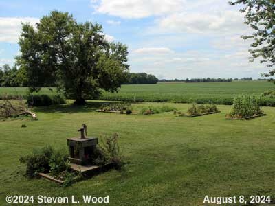 Our Senior Garden - August 8, 2024