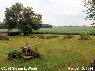 Our Senior Garden - August 15, 2024