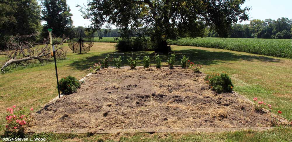 Main bed cleared of weeds