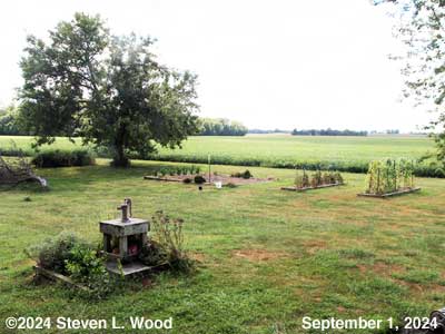 Our Senior Garden - September 1, 2024