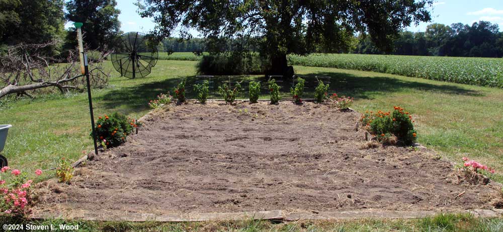 Main bed planted
