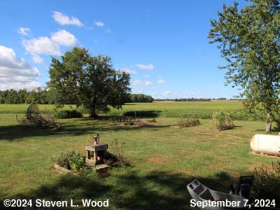 Our Senior Garden - September 9, 2024