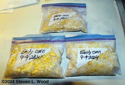 Frozen sweet corn