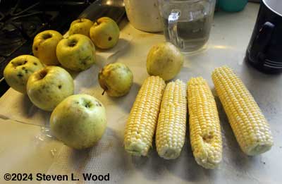 Apples and sweet corn