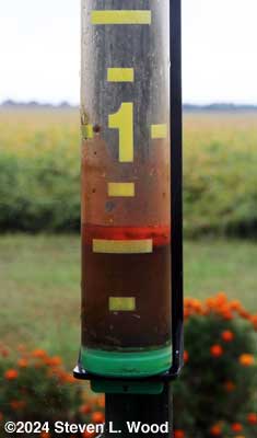 Rain gauge