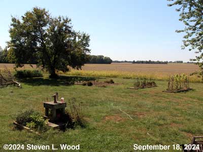 Our Senior Garden - September 18, 2024