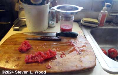 Saving tomato seed