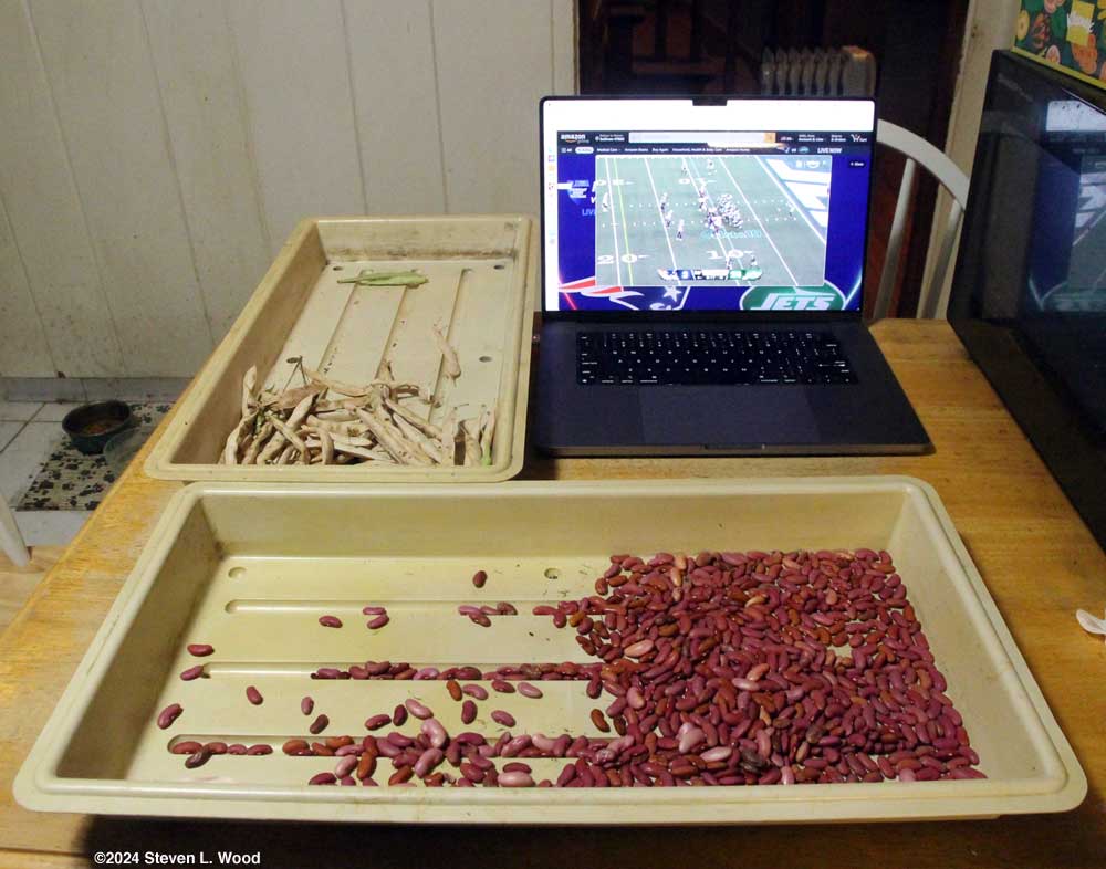 Shelling kidney beans