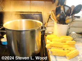 Blanching corn ears