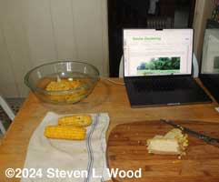 Cutting corn off cob