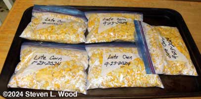 Corn bagged for freezing