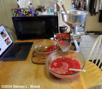 Squeezo Strainer separating skins snd seeds from jiuice and pulp