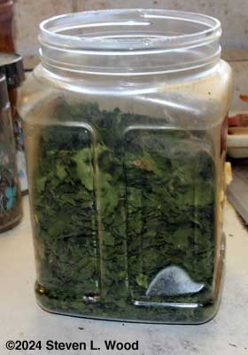 Parsley jar three-fourths full