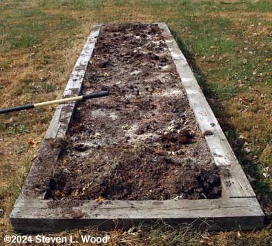 Bed lfor garlic