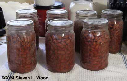 Last batch