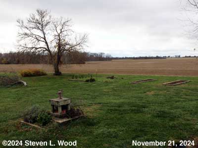 Our Senior Garden - November 21, 2024
