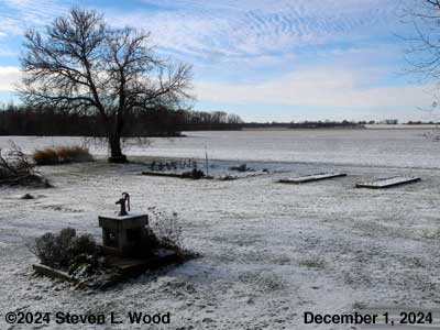 Our Senior Garden - December 1, 2024