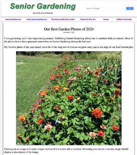 Best Garden Photos of 2024