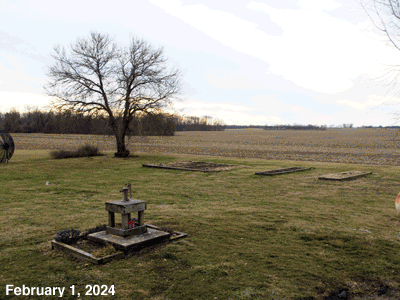February, 2024, animated GIF of our Senior Garden