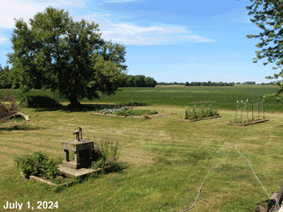 July, 2024, animated GIF of our Senior Garden