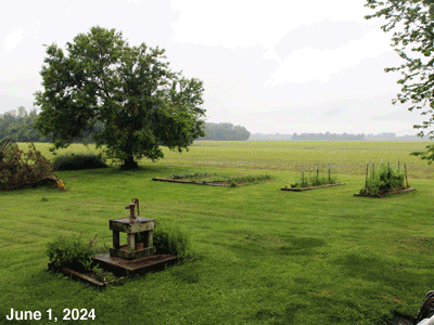 June, 2024, animated  GIF of our Senior Garden