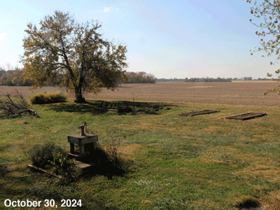 October, 2024, animated GIF of our Senior Garden
