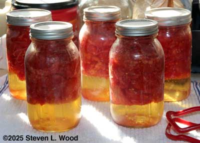 More canned tomatoes