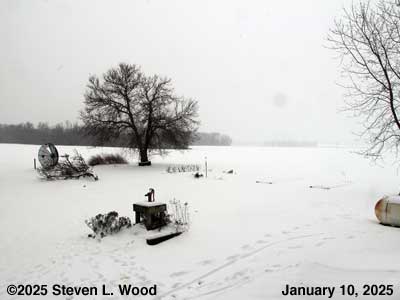 Our Senior Garden - January 10, 2025