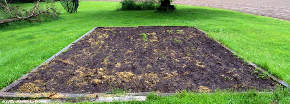 Still messy main garden bed