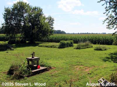 Our Senior Garden - August 9, 2025
