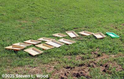 Perma-nest trays drying on lawn