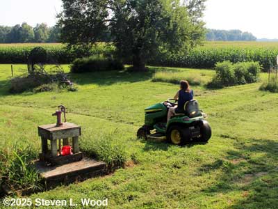 Annie mowing
