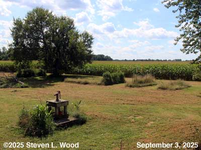 Our Senior Garden - September 3, 2025