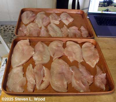 Chicken breasts for freezing