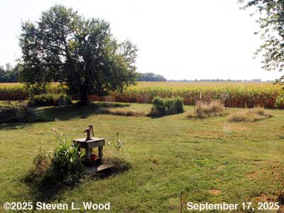 Our Senior Garden - September 17, 2025