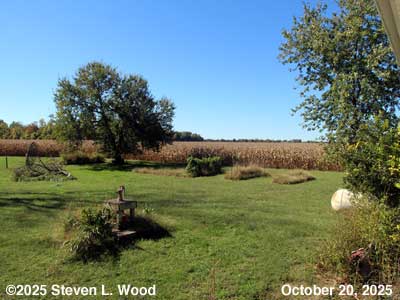 Our Senior Garden - October 20, 2025